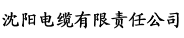 欧美理论片在线完整版电缆厂logo